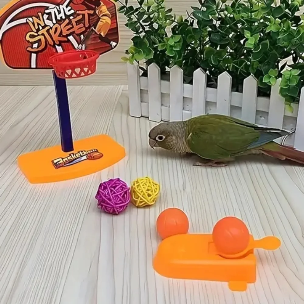 Bird Basketball Toy Set with Colorful Balls